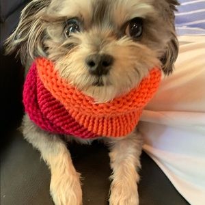 Hand knit Doggy Scarf